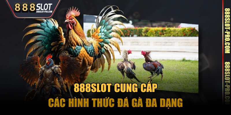 888SLOT cung cấp các hình thức đá gà đa dạng