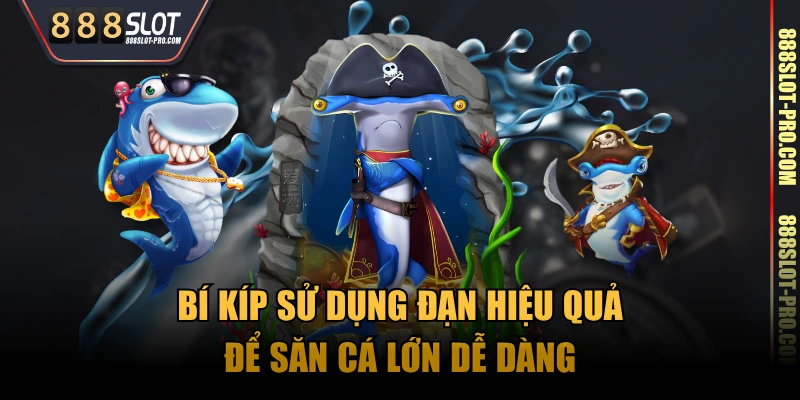 Bí kíp sử dụng đạn hiệu quả để săn cá lớn dễ dàng