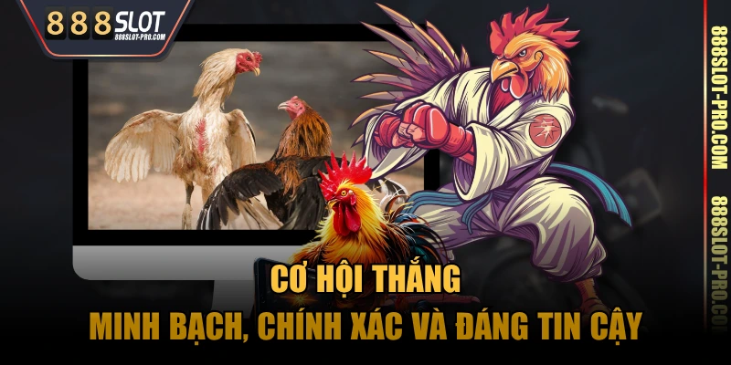 Cơ hội thắng minh bạch, chính xác và đáng tin cậy