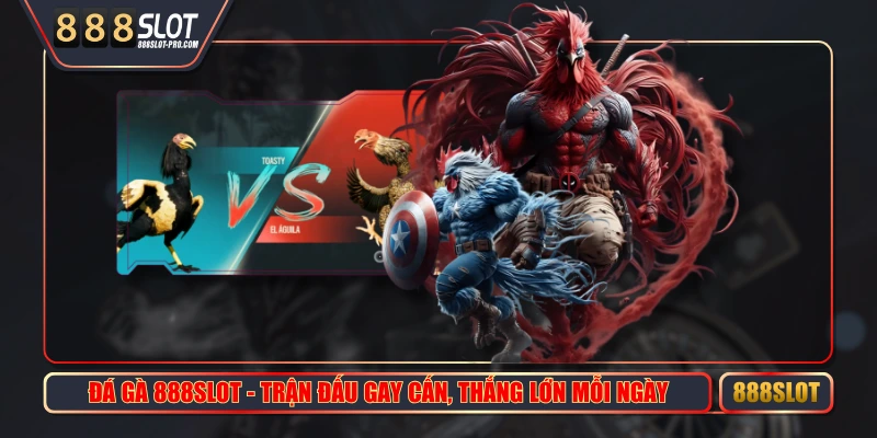 Đá gà 888SLOT - Trận Đấu Gay Cấn, Thắng Lớn Mỗi Ngày