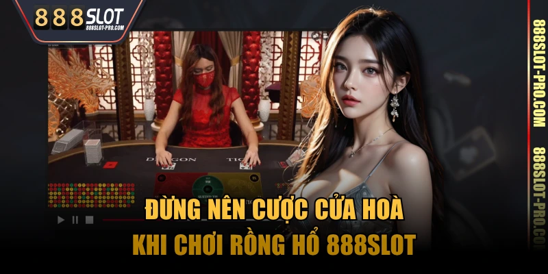 Đừng nên cược cửa hoà khi chơi Rồng Hổ 888SLOT