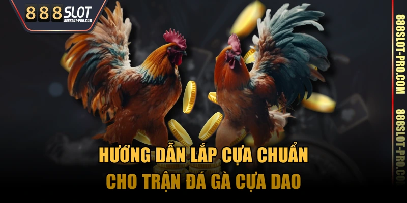 Hướng dẫn lắp cựa chuẩn cho trận đá gà cựa dao