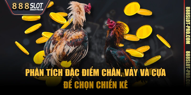 Phân tích đặc điểm chân, vảy và cựa để chọn chiến kê