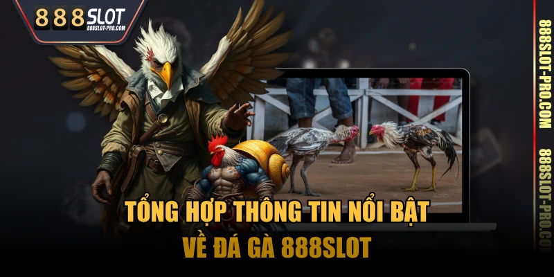 Tổng hợp thông tin nổi bật về đá gà 888SLOT